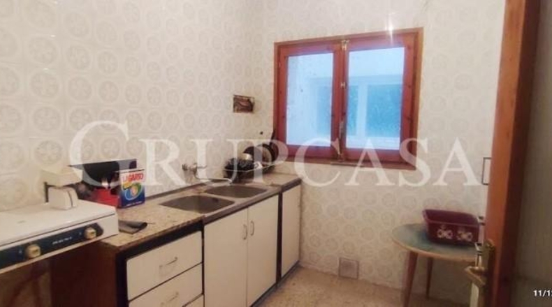Lerida - Alcarràs - 900m2