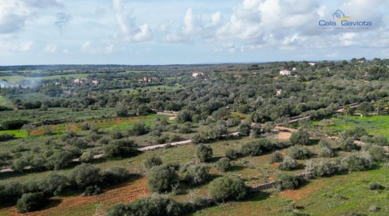 Islas Baleares - Las Salinas - 18069m2