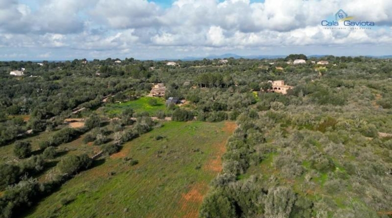 Islas Baleares - Las Salinas - 18069m2