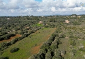 Terreno no urbanizable en venta en la España, Ses Salines, ref: TR393347 foto
