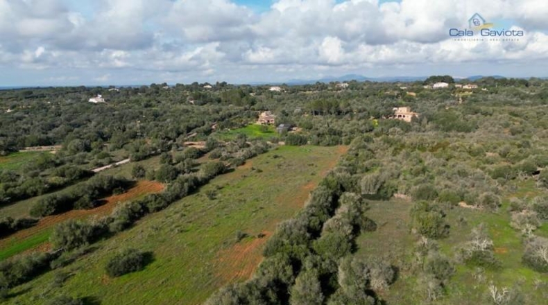 Islas Baleares - Las Salinas - 18069m2
