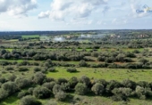 Terreno no urbanizable en venta en la España, Ses Salines, ref: TR393347 foto