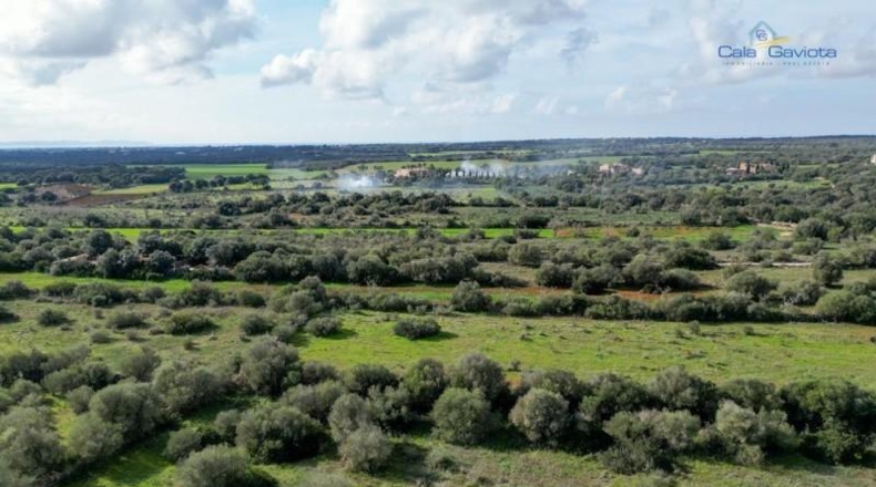 Islas Baleares - Las Salinas - 18069m2