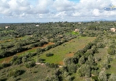 Terreno no urbanizable en venta en la España, Ses Salines, ref: TR393347 foto