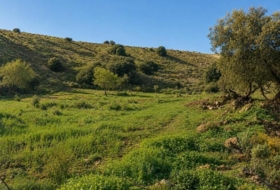 Órgiva 2430000&nbsp;m²