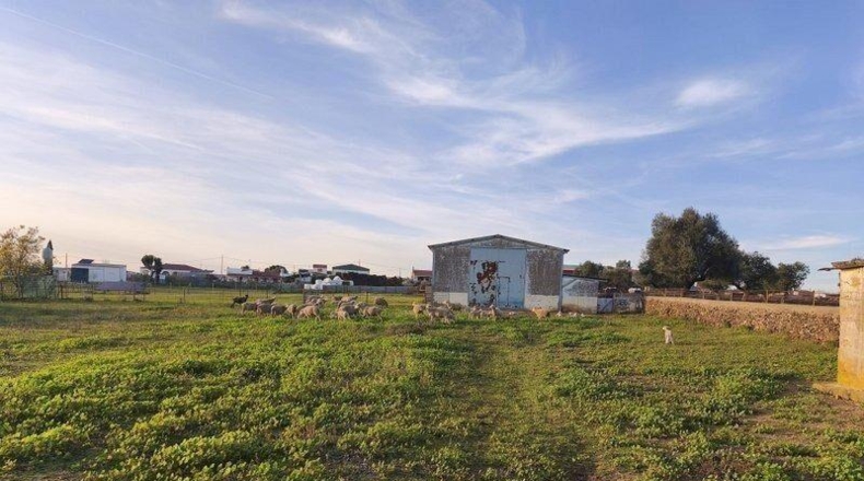 Badajoz - Mérida - 16315m2