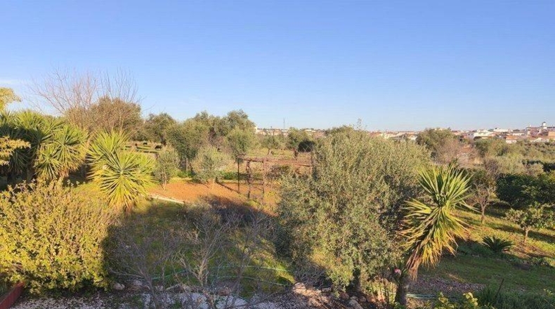 Badajoz - Mérida - 16315m2