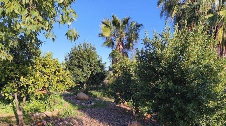 Badajoz - Mérida - 16315m2
