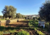 Xalet independent amb terreny en venda a la España, Mèrida, ref.: TR405296 foto