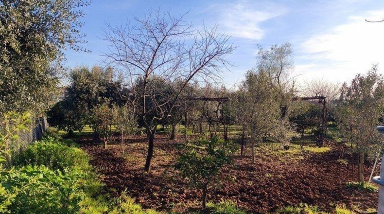 Badajoz - Mérida - 16315m2