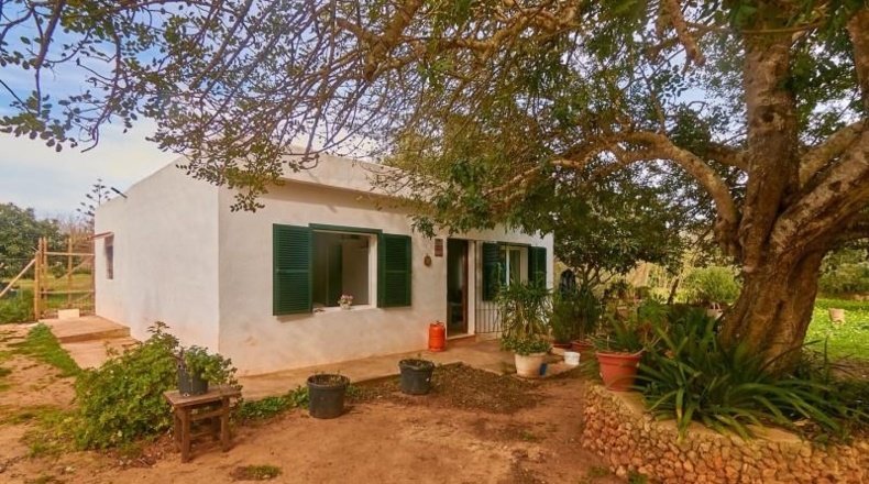Valencia - Albaida - 6000m2
