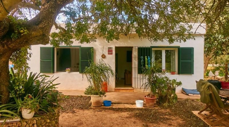 Valencia - Albaida - 6000m2