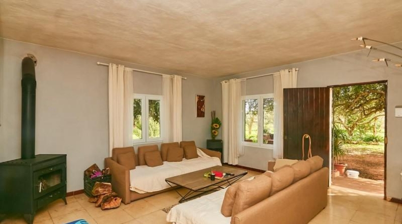 Valencia - Albaida - 6000m2
