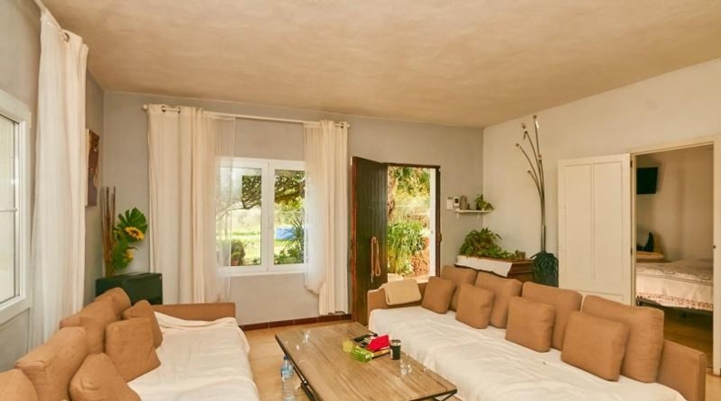 Valencia - Albaida - 6000m2