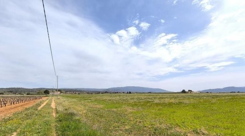 Murcia - Yecla - 113600m2