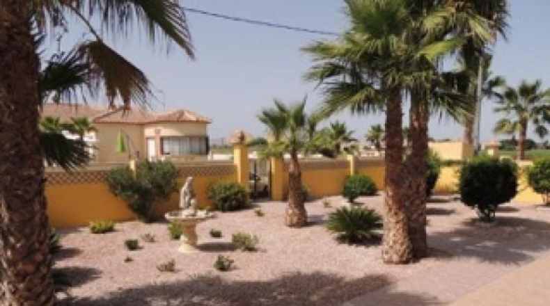 Alicante - Catral - 2000m2