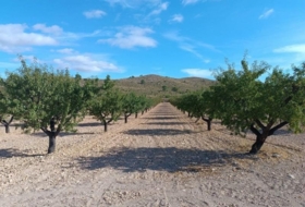 Yecla 580000&nbsp;m²