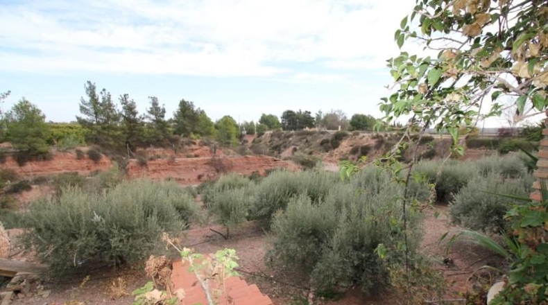 Murcia - Totana - 7000m2