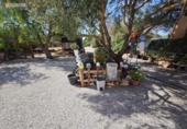 Casa de campo con terreno en venta en la España, Campos, ref: TR343857 foto