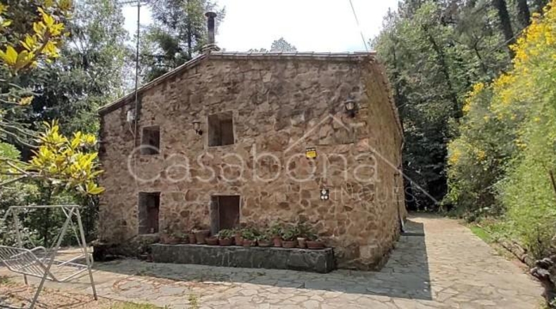 Gerona - Arbúcies - 10000m2