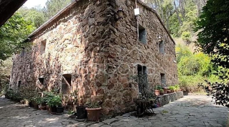 Gerona - Arbúcies - 10000m2