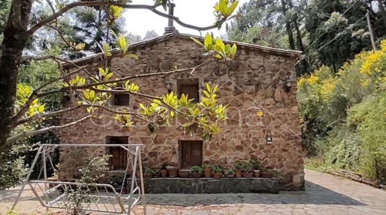 Gerona - Arbúcies - 10000m2