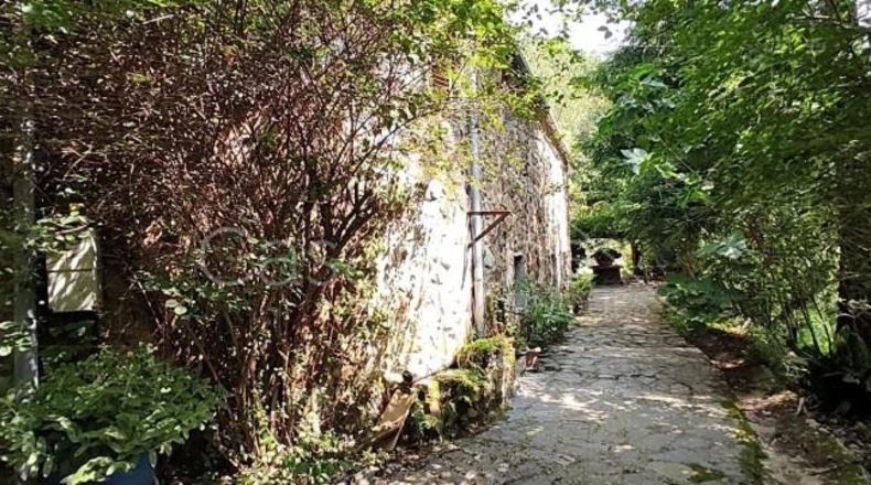 Gerona - Arbúcies - 10000m2