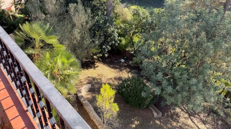 Barcelona - Olivella - 780m2