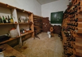 Chalet independiente con terreno en venta en la España, Sandiás, ref: TR314373 foto