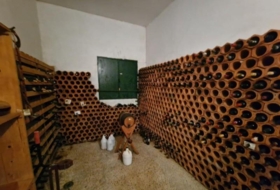 Foto 12
