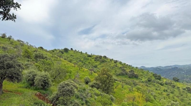 Málaga - Almogía - 147m2