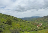 Casa de campo con terreno en venta en la España, Almogía, ref: TR242431 foto