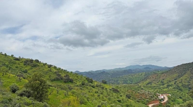 Málaga - Almogía - 147m2
