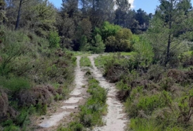 Foto 10