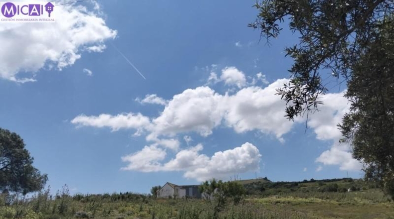 Cadiz - Medina Sidonia - 74900m2