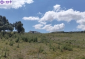 Загородный дом с участком на продажу в городе Medina Sidonia Фото