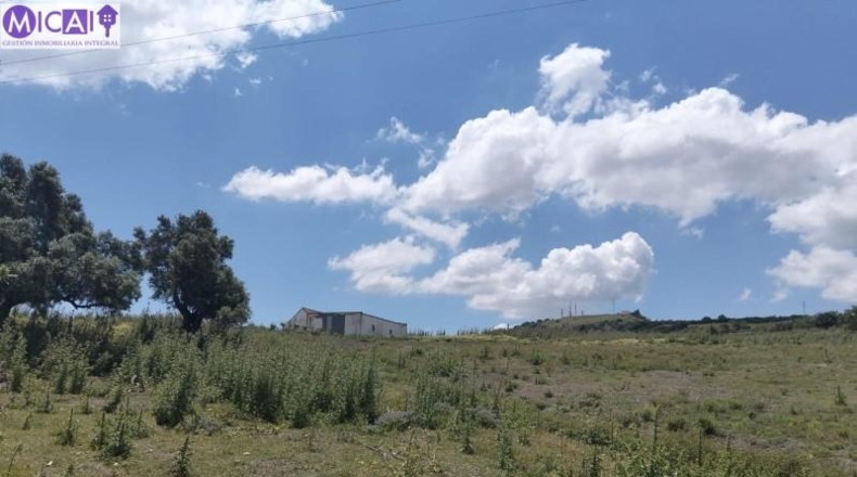 Cadiz - Medina Sidonia - 74900m2