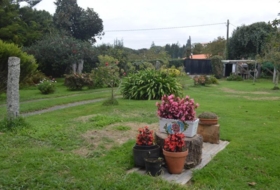 Foto 15
