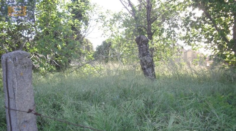 Pontevedra - Vigo - 3300m2