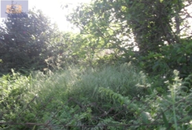 Vigo 3300&nbsp;m²