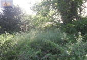 Rural estate for sale on España, Vigo, ref: TR405876 photo