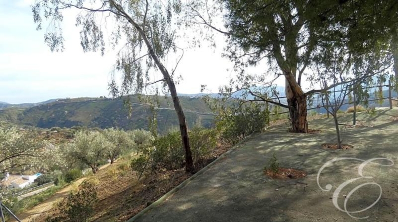 Málaga - Sedella - 55360m2