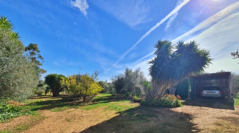 Islas Baleares - Sineu - 10000m2