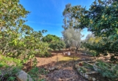Country house with land for sale on España, Sineu, ref: TR158662 photo