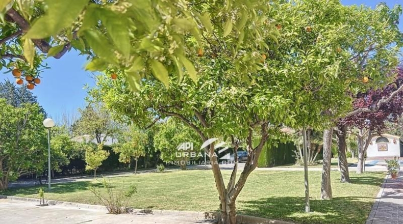 Córdoba - Lucena - 2000m2