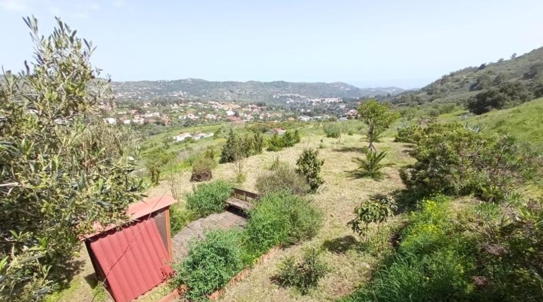 Las Palmas - Santa Brígida - 900m2