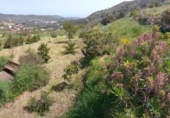 Chalet independiente con terreno en venta en la España, Santa Brígida, ref: TR401805 foto