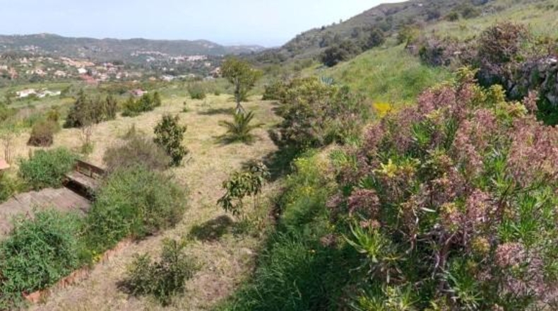 Las Palmas - Santa Brígida - 900m2