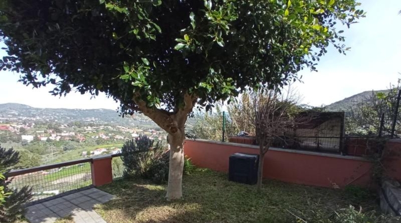 Las Palmas - Santa Brígida - 900m2