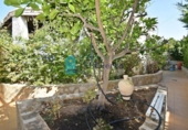Chalet independiente con terreno en venta en la España, Mazarrón, ref: TR403505 foto